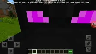 Minecraft in a nutshell fail and reverse