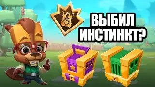 ОТКРЫВАЮ ИНСТИНКТЫ НА АККАУНТЕ ПОДПИСЧИКА В ИГРЕ ZOOBA!