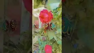 Meraj ki Raat Naat e Navi #Navi ki meraj#shabe meraj #viral#you tube shorts #islamic #shors #shorts