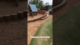 #дети