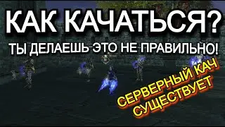 Где качаться в Lineage 2 Main Samurai Crow Руофф
