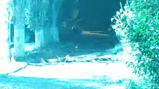 УРАГАН в КЕРЧИ - ул. Войкова СЕЙЧАС!!