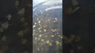 5 ноября 2023 г.