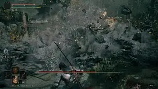 ELDEN RING How to not beat Godrick the Grafted
