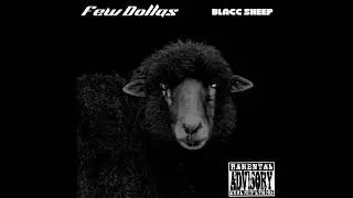 FEW DOLLAS - BIG BILLS