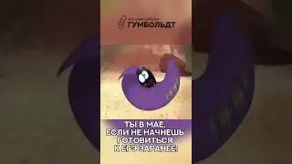 ЕГЭ приближается, но мы рядом 🫵 Пишите в тг, чтобы попасть на занятия: @gumboldtschool