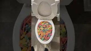 Experiment: Flushing GIANT Sour Patch Kids Candy in Toilet