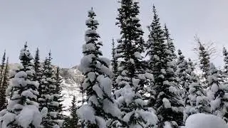 Burstall Pass Trail
