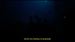 DJ Gigola – Gratitude Practice (Video Edit) [LFE014]
