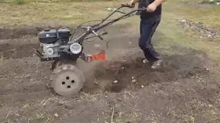 3 ways to dig potatoes!!!!!!