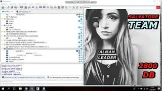 Teamspeak3 Bass Açma - 
