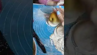 быстрее чем скалкой