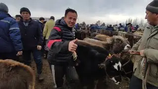 БУКА БАЗАР| ЭРКЕК ТОРПОК БААЛАРЫ 🤯 
