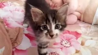 20160805 123347