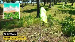 835 sqm Palawan Beach lot for sale - Palm Shore Gold LOT 6