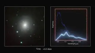 Time-lapse sequence of kilonova images and spectra