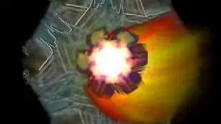Disco Fox !.wmv
