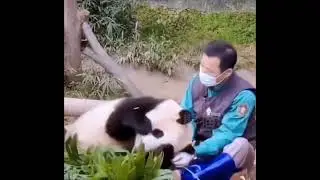 Who wants this job? Are you insured?