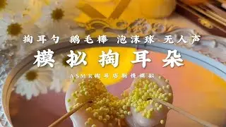 ASMR  Lấy tai nghe ra模拟掏耳朵（掏耳勺，鹅毛棒🌟）