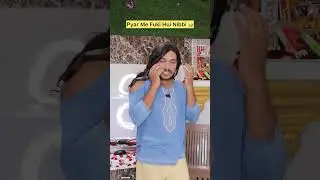 Nibbi In Love 🥰 #shorts