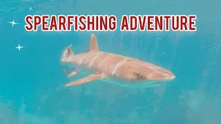 Remote Island Spearfishing Adventures