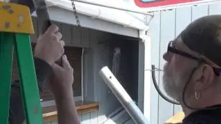 The 