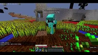2b2t.org Долина пшеницы до грифа , запись 17 марта