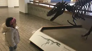 2 year old dinosaur genius