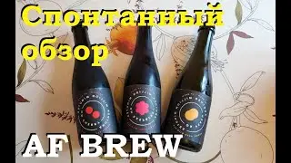 Спонтанная линейка Another Million Minutes от AF Brew
