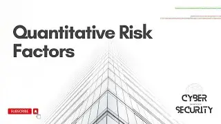 Quantitative Risk Factors