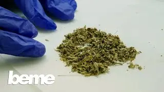 The dangerous high of fake weed