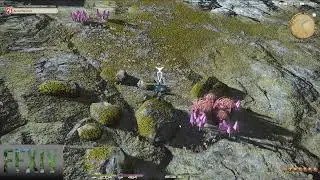 [FFXIV] (Loporrit Quest) : Prototypical Retrieval