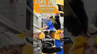 Woops! Florida Cops Use NAIL GUN on Family Pet - By Mistake