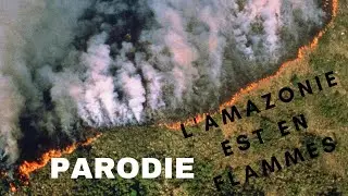 L' amazonie est en flammes