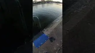 🧊 🏊