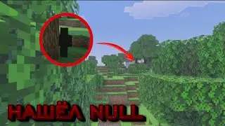 НАШЕЛ РЕАЛЬНОГО НУЛЛА В МАЙНКРАФТ ПЕ!!! | ёжик play