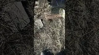 Обмазываю деревянные столбы жидким пенопластом.