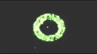 Frank McCaffrey - Look At Us