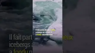 L'iceberg le plus grand du monde est à la dérive 