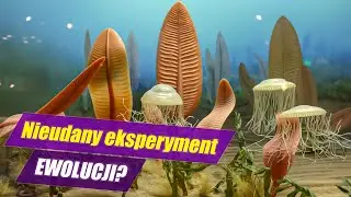 EDIAKAR - fauna ediakarska, superkontynent Pannocja - Historia Ziemi #3.1