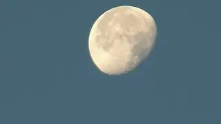 Лето на Волге