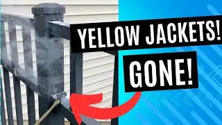 Getting Rid of Yellow Jackets #yellowjackets #yellowjacket #pestcontrol #bugs #homeowner #home