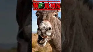 The Concrete Donkey