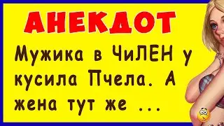 Мужика в ЧиЛЕН укусила Пчела. А жена тут же ... | Смешные Свежие Анекдоты