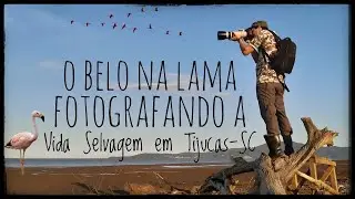 O Belo na Lama (curta metragem - Documental)