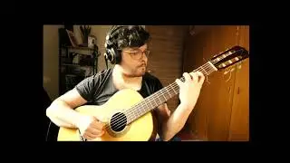 Allegretto - Beethoven Symphony N° 7 for Guitars Orchestra