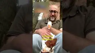 🇹🇷Мужчина Отдал Ферму Под Приют🐴Инстаграм семейства @mertakkoek