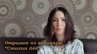 Отрывок из вебинара "ЛЕД"