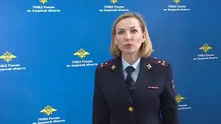 комментарий по ДТП в Благовещенске с погибшим 19.01.2018