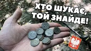 Польські монети! Гаманець в лісі!